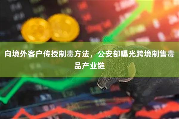 向境外客户传授制毒方法,公安部曝光跨境制售毒品产业链